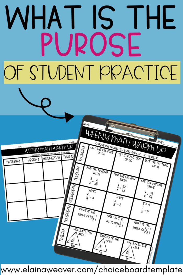 what is the purpose of student practice